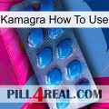 Kamagra How To Use viagra1